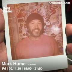 Netil Radio - Nov 2020 - 100% New Music