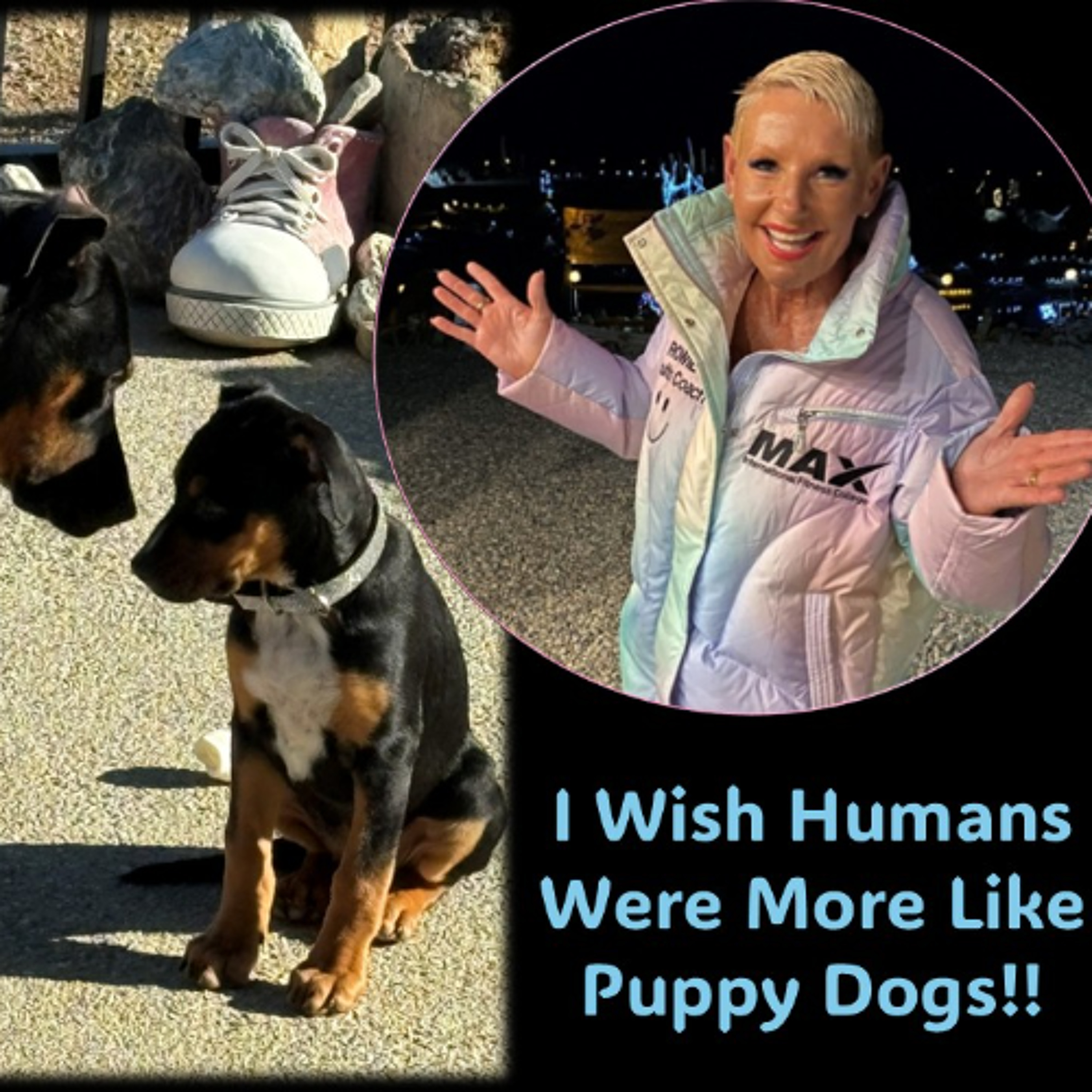 I Wish Humans Were More Like Puppy Dogs