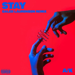 A/K - STAY (Caleb Laurenson Remix)