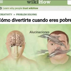 ESCUELA DEL DESMADRE INTRO ASS SONG