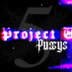 Arttix-project pussys