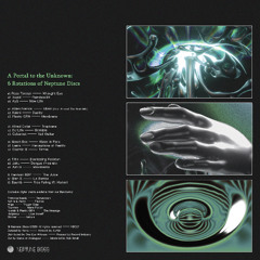 A Portal To The Unknown - 6 Rotations of Neptune Discs (ND027)