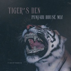 Tiger's Den Vol. 1 | Punjabi House & EDM Mix