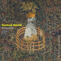 Siamak Amidi - Beshknow Norouz 99(Iranian New year 2020)