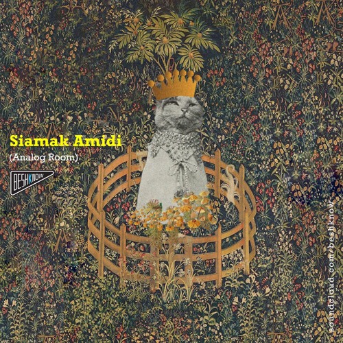 Siamak Amidi - Beshknow Norouz 99(Iranian New year 2020)