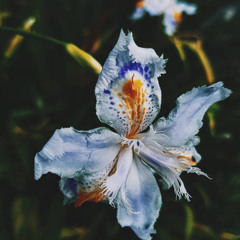 Leaving, Returning (unmixed) - improvised, live at Bennigans 14/12/2024