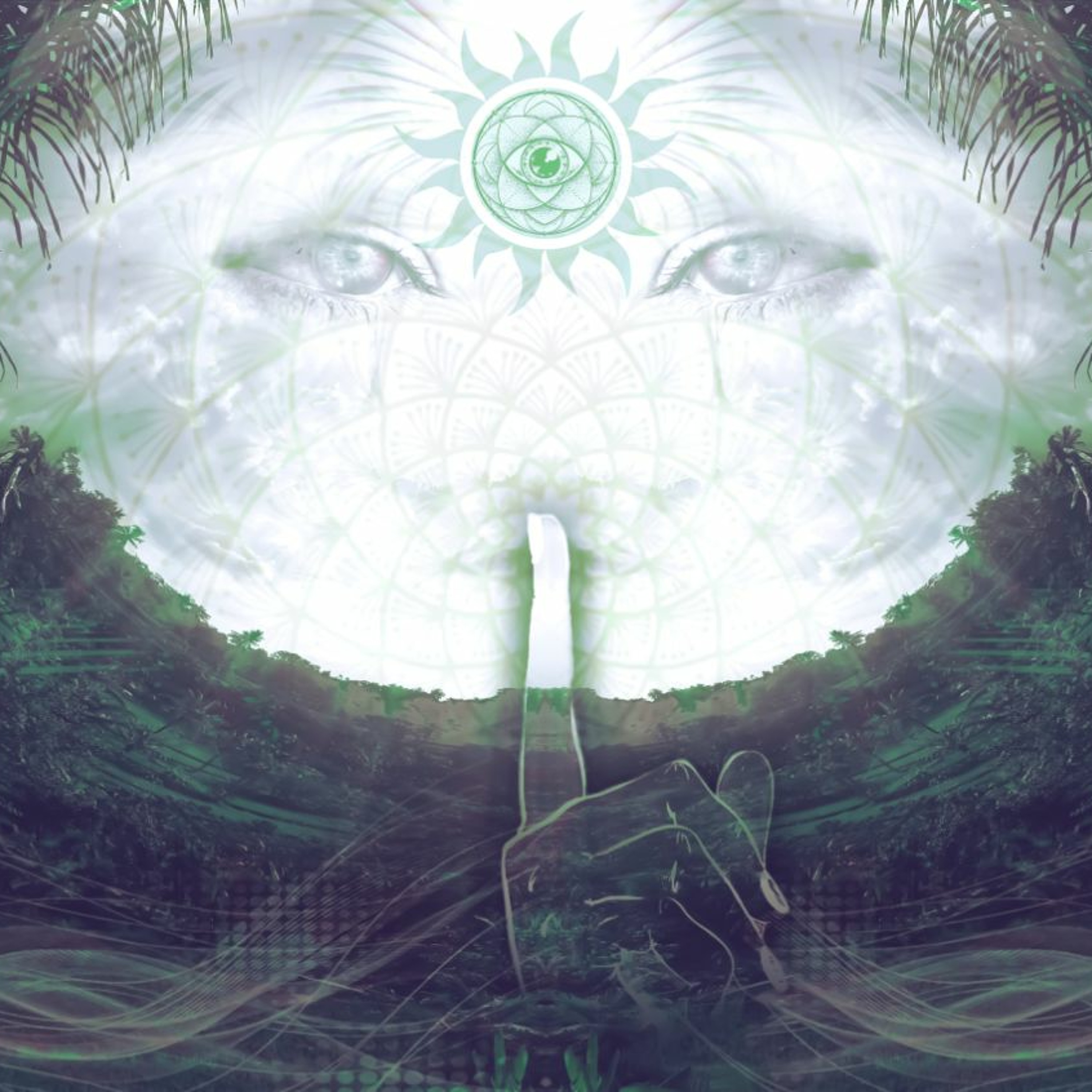 Dimensional Shift