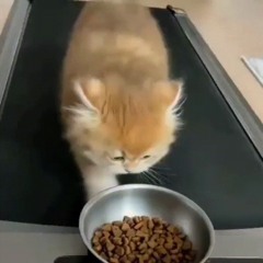 ,,,,,,,,,,,,,,,,,,,,,,,,,,,,,,,,,,,,,,,,,,,,,,,,,,,,,,,,,,,,,,,,,,,,,,,,,,,,,,,,,,