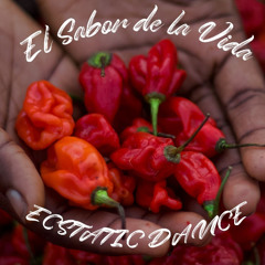 Ecstatic Dance - Yoga Barn - Feb 2025