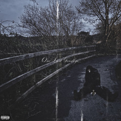ONE LAST GOODBYE [PROD. IDIO]