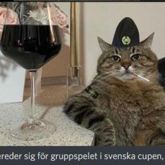 sebbes hardstyleshit