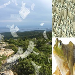 xofilo x skawt - bullfrog *2K21*