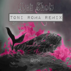 MARTO - Meu Show (TONI ROMA Remix )