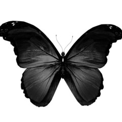 deji - ghost 130 bpm