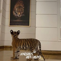 TO THE RHYTHM OF MY MUSIC - Andrés Restrepo DJ
