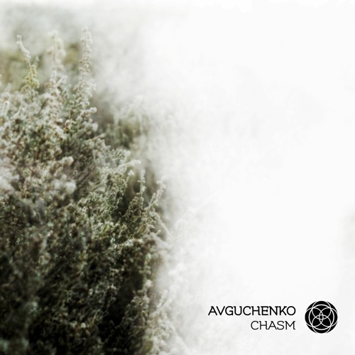 Avguchenko - Chasm