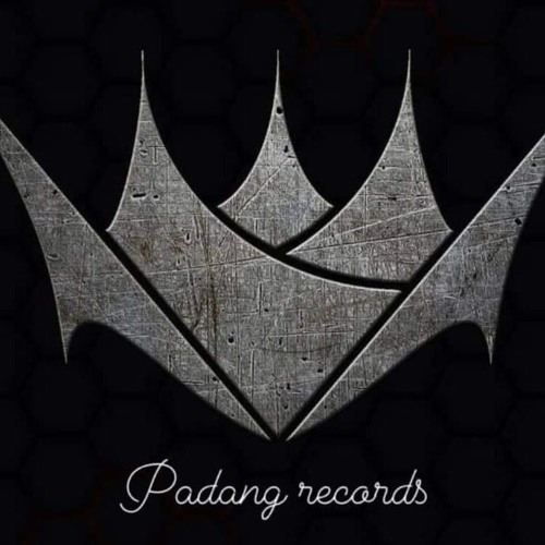 Metaphora - Cosmic Dance out now Padang Records.wav