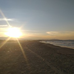 Because I Had You - Shawn Mendes(Cover)