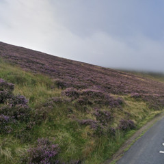 KCLR News: Carlow County Council spokesperson on plans for Nine Stones (8th Sept 2025)