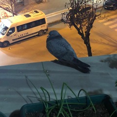 alıştırdın ellerine kopamıyorum senden cover | ulaş başaran