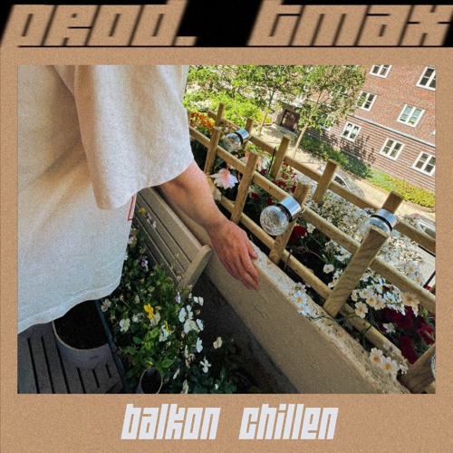 DnB X Pashanim X Cloud Type Beat - Balkon Chillen (prod. tmax)