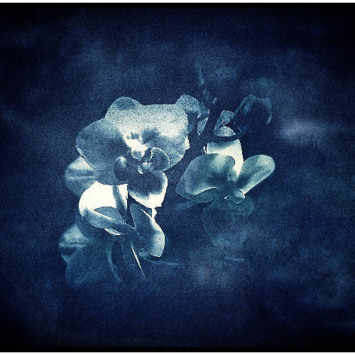 Feelings of kind