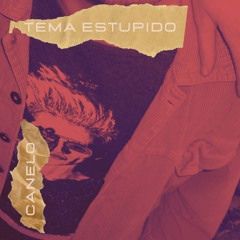 TEMA ESTUPIDO