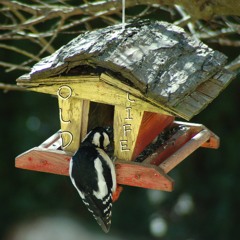 Kisling – Old Life (taken from the album ‘Old Life’, SRS16 2022)