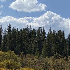 crusi/pwon - heartfelt ep