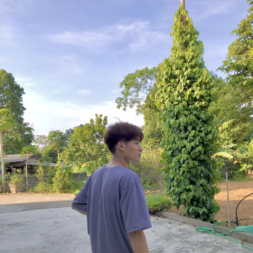 Ai Thật Long Thương Em -Lý Tuấn Kiệt- TA Remix