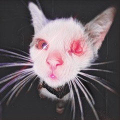 KEY$TONE (Prod.Phintium)