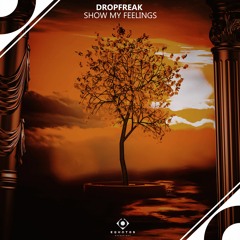 Dropfreak - Show My Feelings
