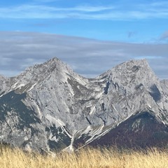 Dino (AT) - 2022 Autumn