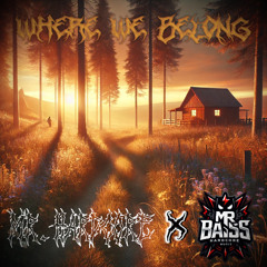 where we belong (feat Mr.Hardcore)