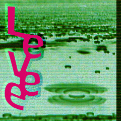 Levee
