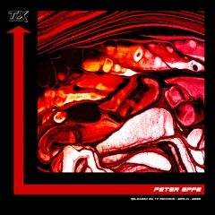 PREMIERE | Peter Effe - Let Me Go [TX023]
