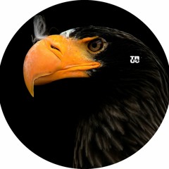 Truc Record VA​/​05 Of the artist. DetroUser​/​NTN​/​DAV​/​RAMKKA​/​Vol​.​Six