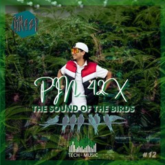 THE SOUND OF THE BIRDS #12 (PIN_42X)