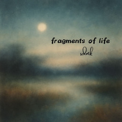 Fragments of life