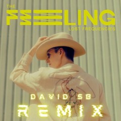 Lost Frequencies - The Feeling [David SB Remix]
