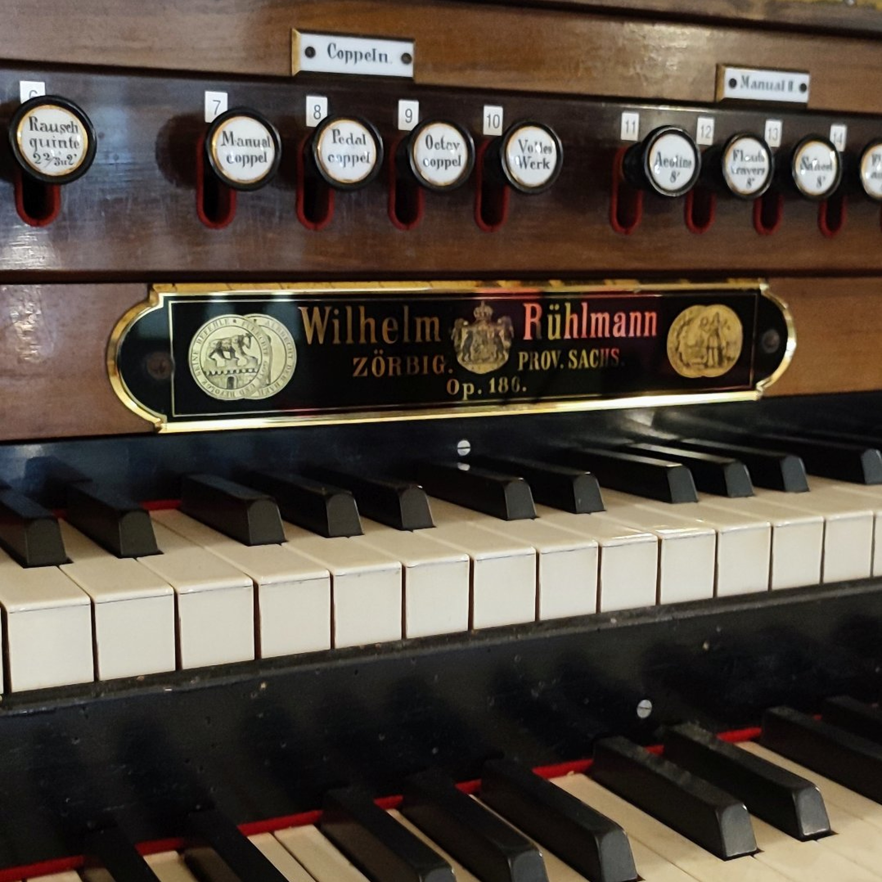 Ab morgen: Sechs Wochen Rühlmann-Orgel-Festival in Sachsen-Anhalt episode artwork