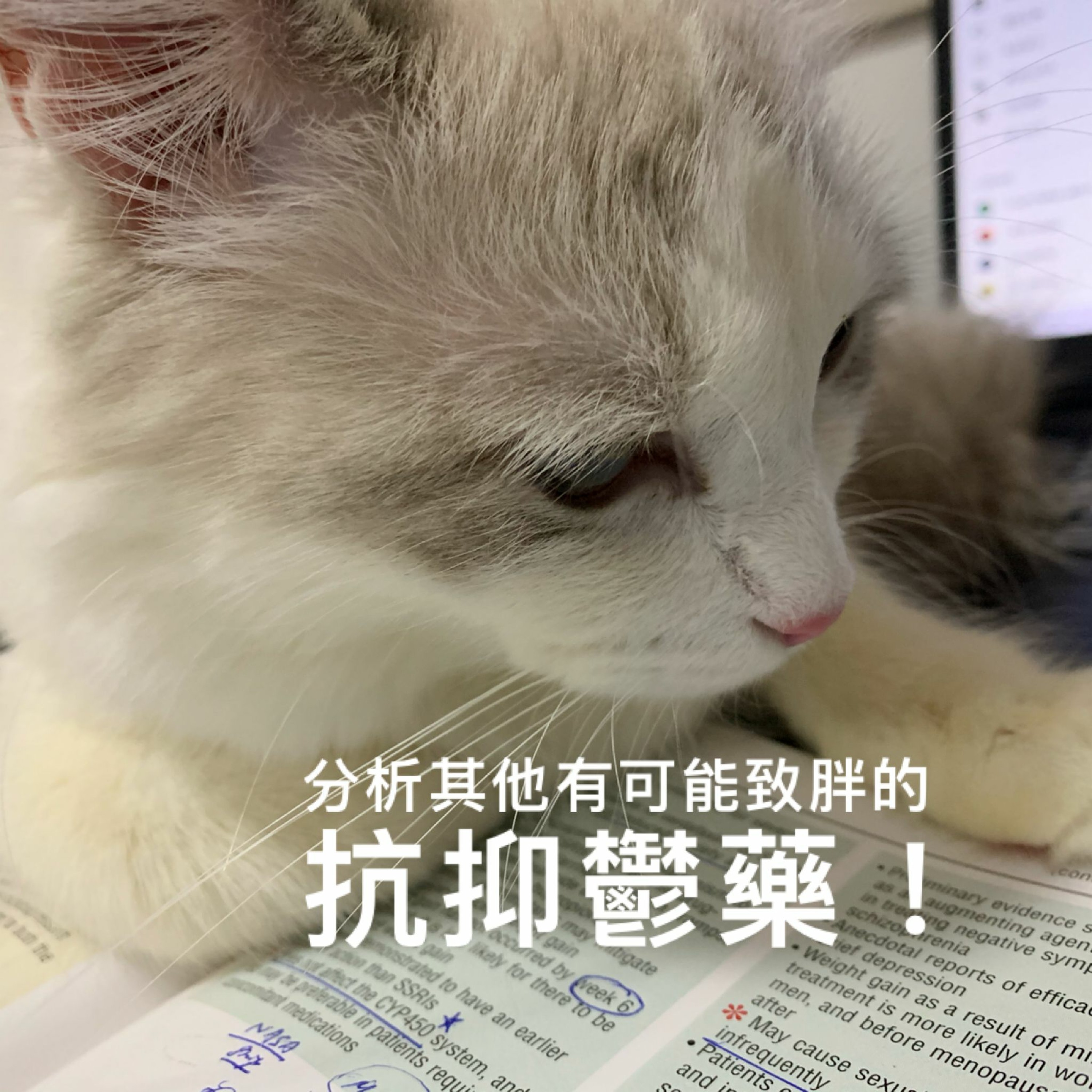 精神醫學三分鐘 —— 分析其他有可能致胖的抗抑鬱藥!