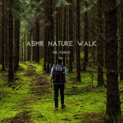 Stream The Relaxing Forest Walk by ASMR Nature Walk | Listen online for ...