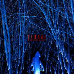 Florae