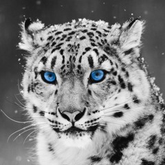 Alexey Piven - Estaet Of Trans