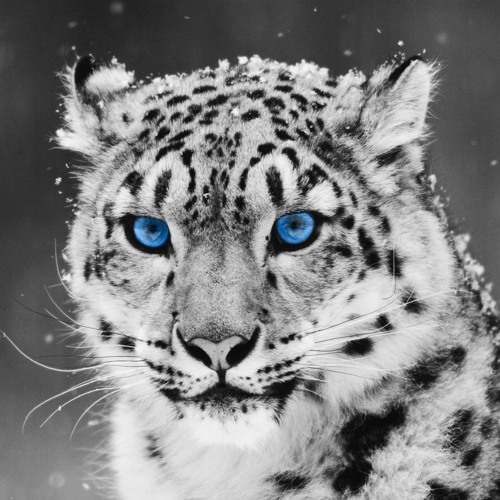 Alexey Piven - Estaet Of Trans