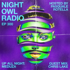 Night Owl Radio 300 ft. Meduza and Chris Lake