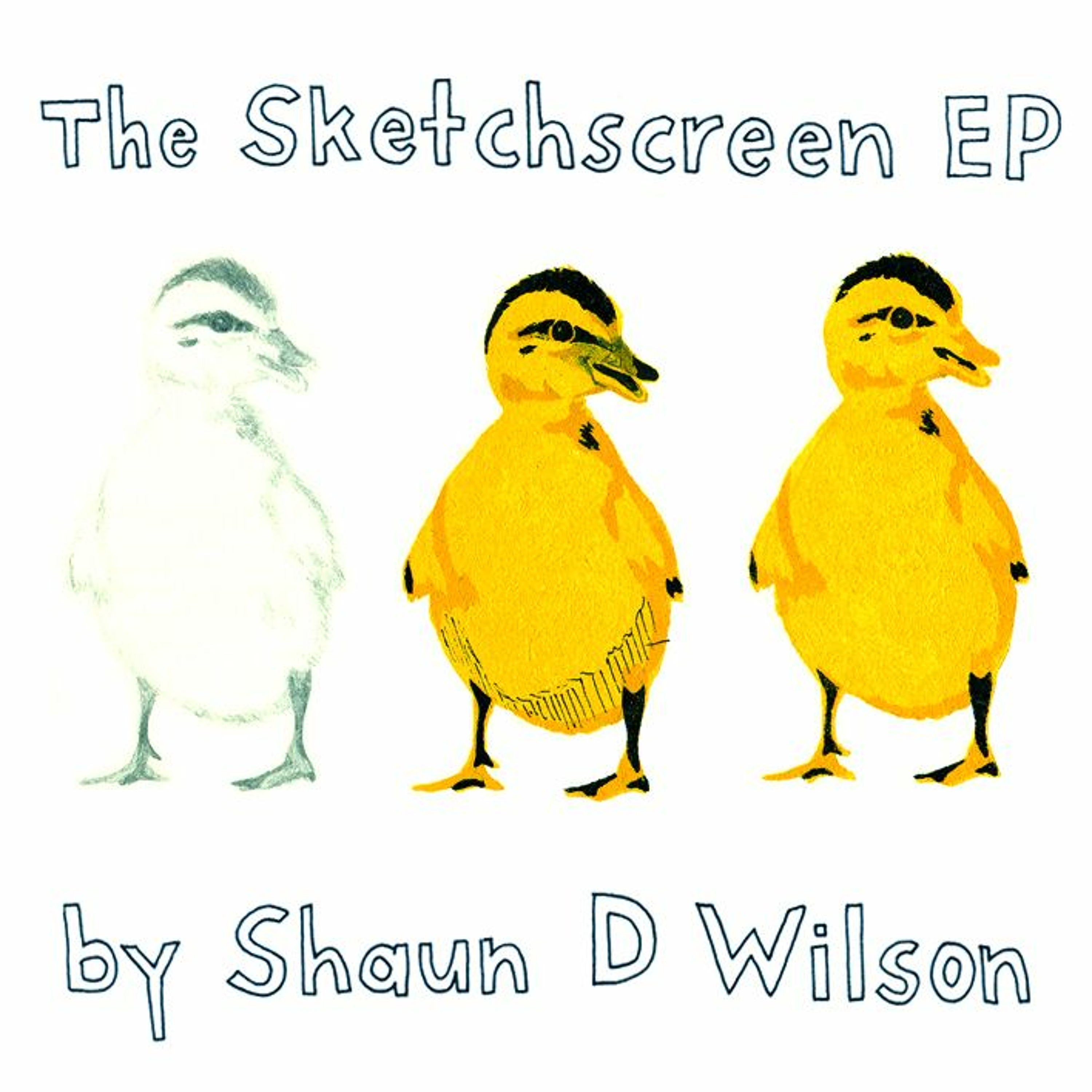 Shaun D Wilson