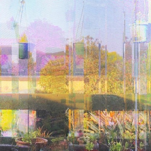 What If Birds Aren't Singing They're Screaming (Aldous Harding Cover) (Demo)