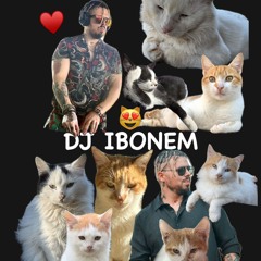 Without Me (IBONEM Remix)